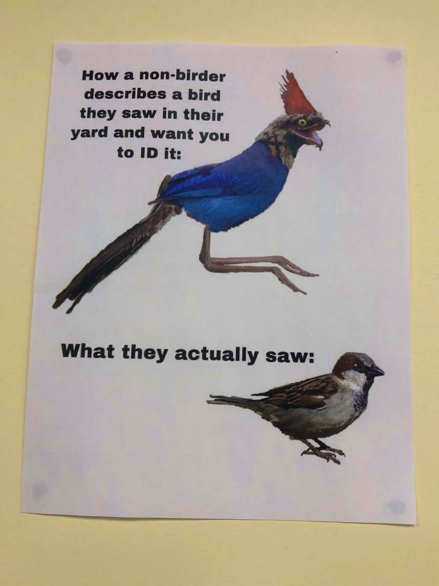 MNNaturalists's tweet photo. We’ve all been there. https://t.co/7pNYuwt8td