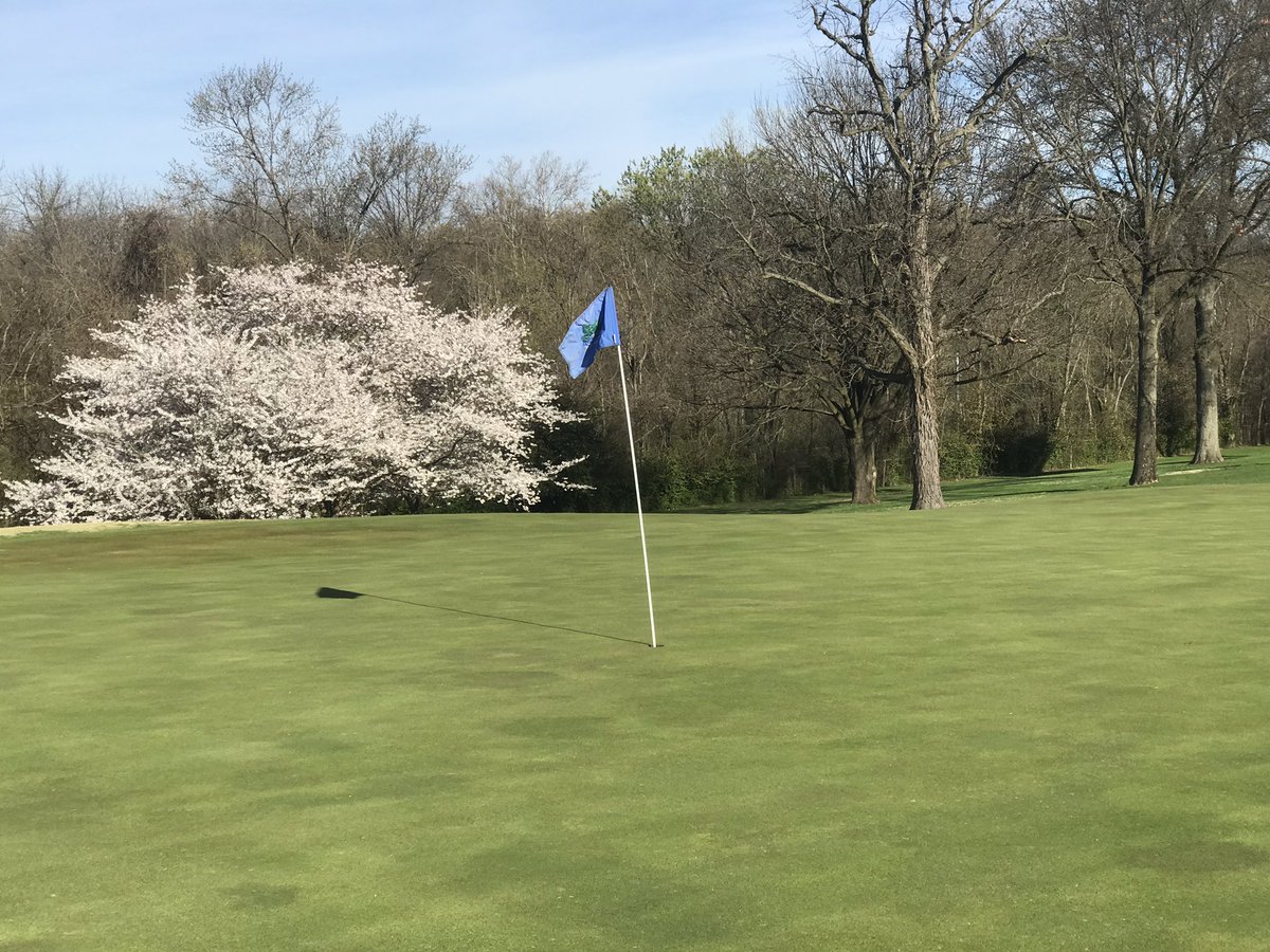jdwachter's tweet photo. Itβs not the same as the #CherryBlossomDC that our peer @mwstack sees regularly but #thecherrytrees beside #2green @GlenEchoCC are in full bloom right now! https://t.co/yvKAMglGwZ
