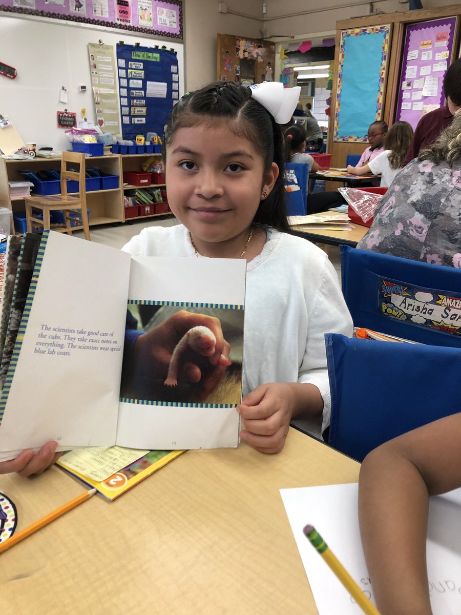DualLanguage308's tweet photo. Research clubs working hard to synthesize information on their animals🐳🐼🐧🐺🐻🐯#76learns #TCRWP https://t.co/n1zDyc92LG