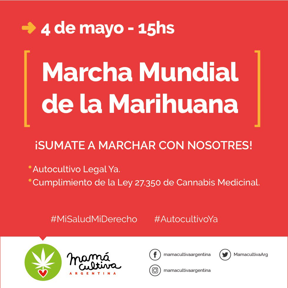 MamaCultivaArg's tweet photo. El sábado 4 de mayo vení a marchar con nosotres en la #MarchaMundialDeLaMarihuana

#MiSaludMiDerecho #AutocultivoYa #MMM2019 https://t.co/TqGOH8BpTZ