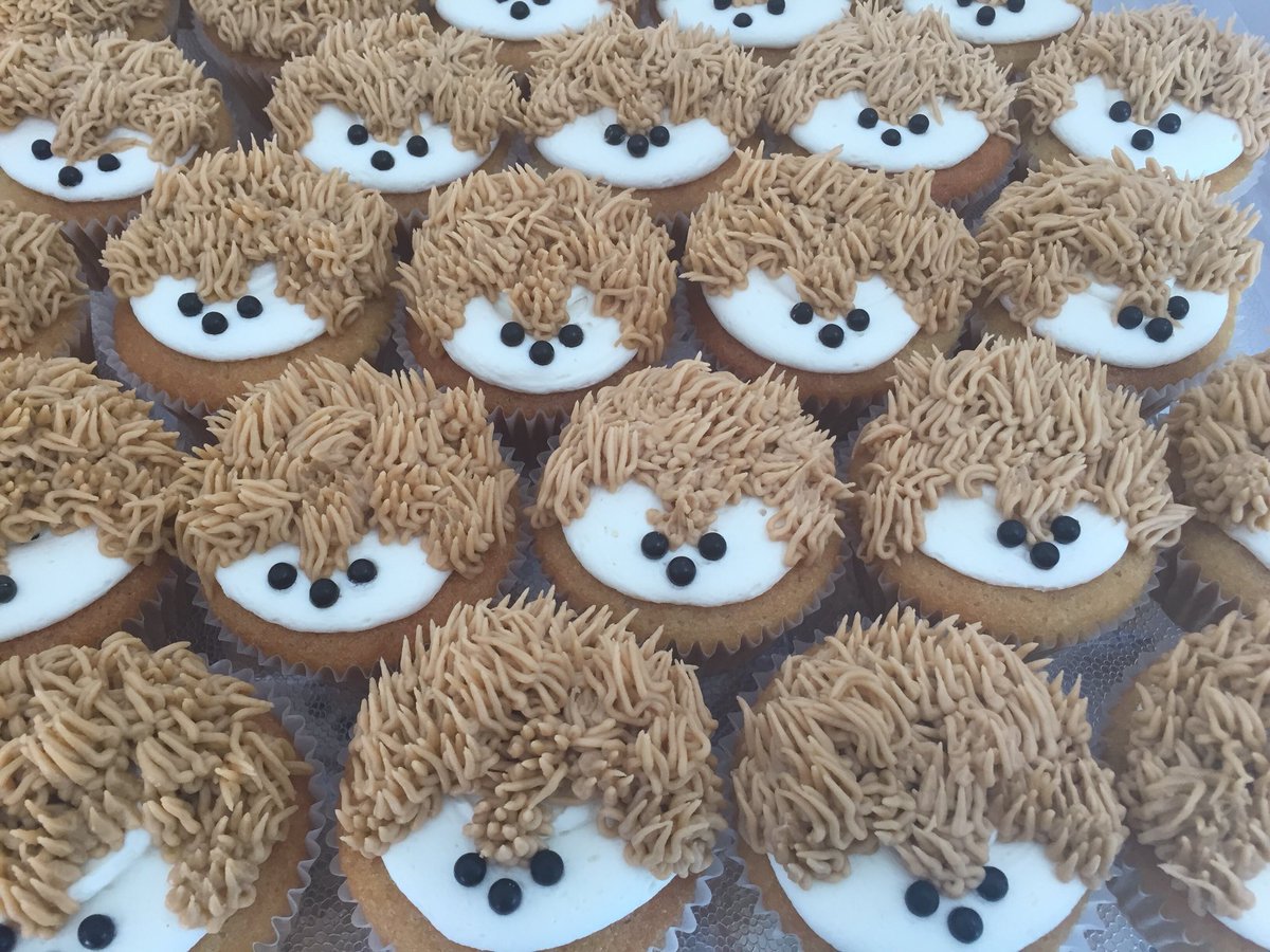 cupcakearhee's tweet photo. Hedgehogs. In cupcake form. https://t.co/KDyU6Ro0Go