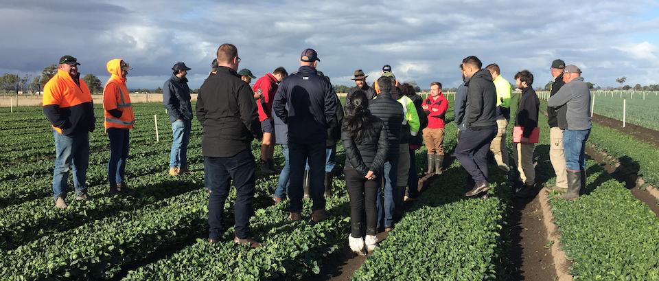 SoilWealthICP's tweet photo. Thanks for attending our #KooWeeRup farm walk yesterday. Over 30 people braved the cold, wet conditions to hear from industry experts, walk the #trial plot and see the #precisionag results first-hand. Missed the farm walk? Catch up on the key findings here https://t.co/1F6NWyKFPM https://t.co/niTlg7427P