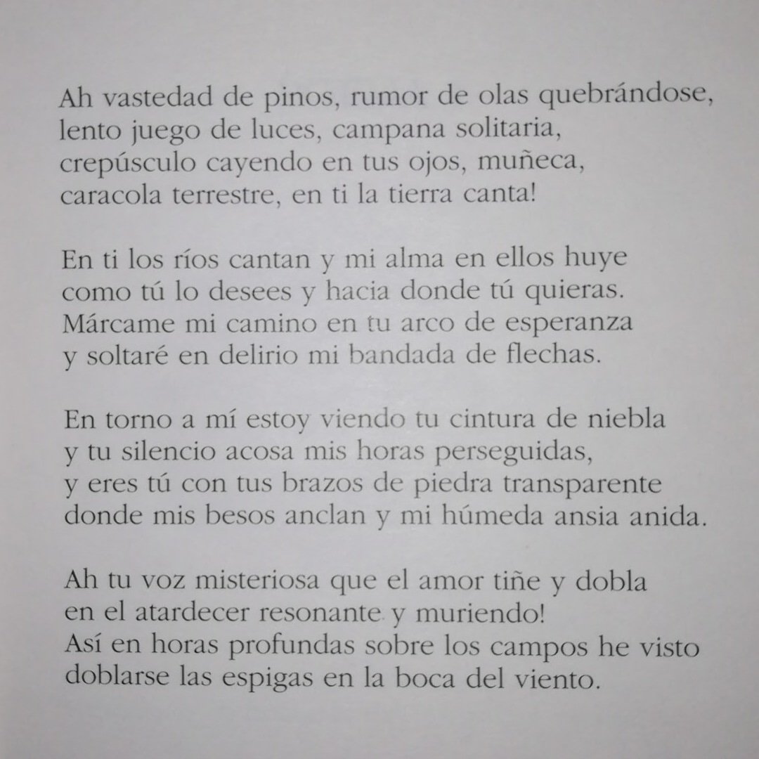 Fegdinand's tweet photo. "En ti los ríos cantan y mi alma en ellos huye..." 

Poema 3 Pablo Neruda 

#reflexiónnocturna 💭 ✒ 📖 📒 📚
#martesdepoesia #Poema3 #20poemasdeamoryunacanciondesesperada
#PabloNeruda #poema #poesia https://t.co/SaNPoVk4iR