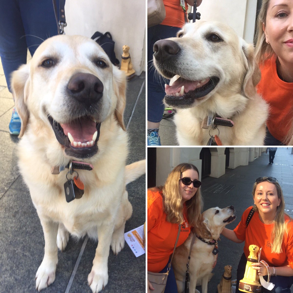 LawnswoodPet's tweet photo. We’re out & about in Perth CBD with the help of @honeytheguidedog supporting the @guidedogswa street appeal today! Every little bit helps so we encourage you to donate what you can 🐾
#guidedogswa #honeytheguidedog #welovedogs #lawnswood #donate #thingstodoinperth https://t.co/lHwGCb42lJ