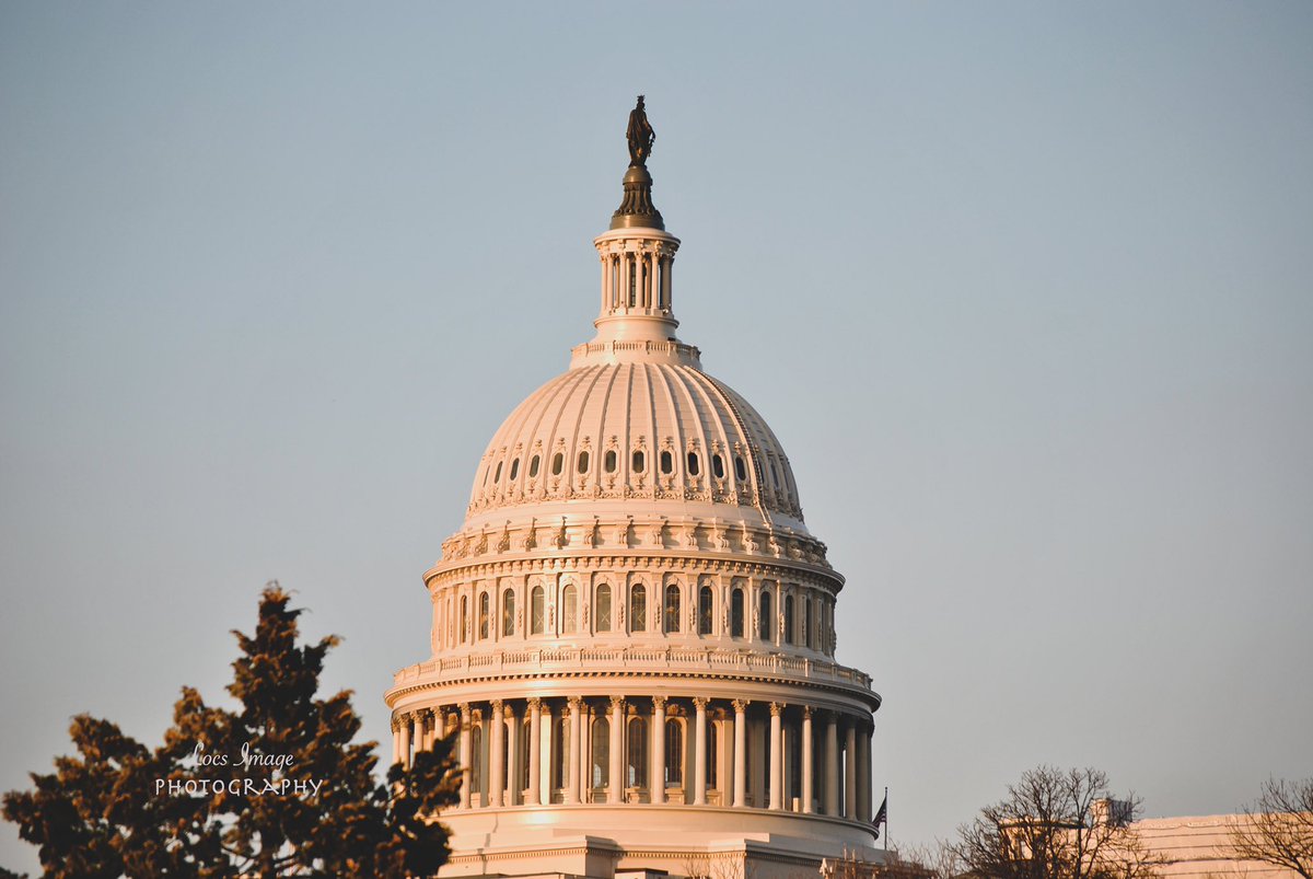 locsimage's tweet photo. Was in D.C. this weekend and captured some nice shots #photooftheday #photograghy #photographer #travelphotography #dc #WashingtonDC #CapitalHill https://t.co/tHaOtvAW8G