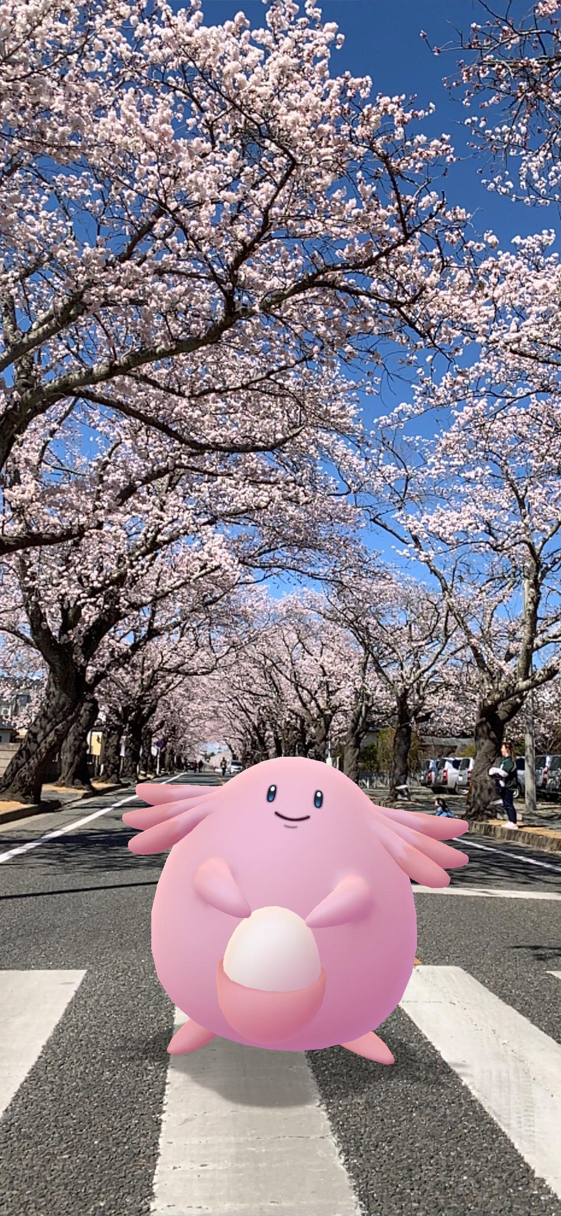 Pokemon Go Japan ふくしま応援ポケモンのラッキーが富岡さくら祭り に登場 Gosnapshot で 美しい桜と一緒にパシャリ ポケモンgo Twitter