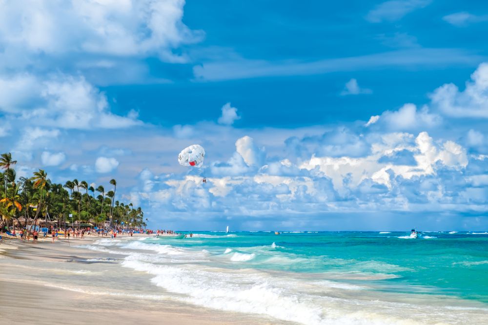 Punta Cana On Sale tweet media
