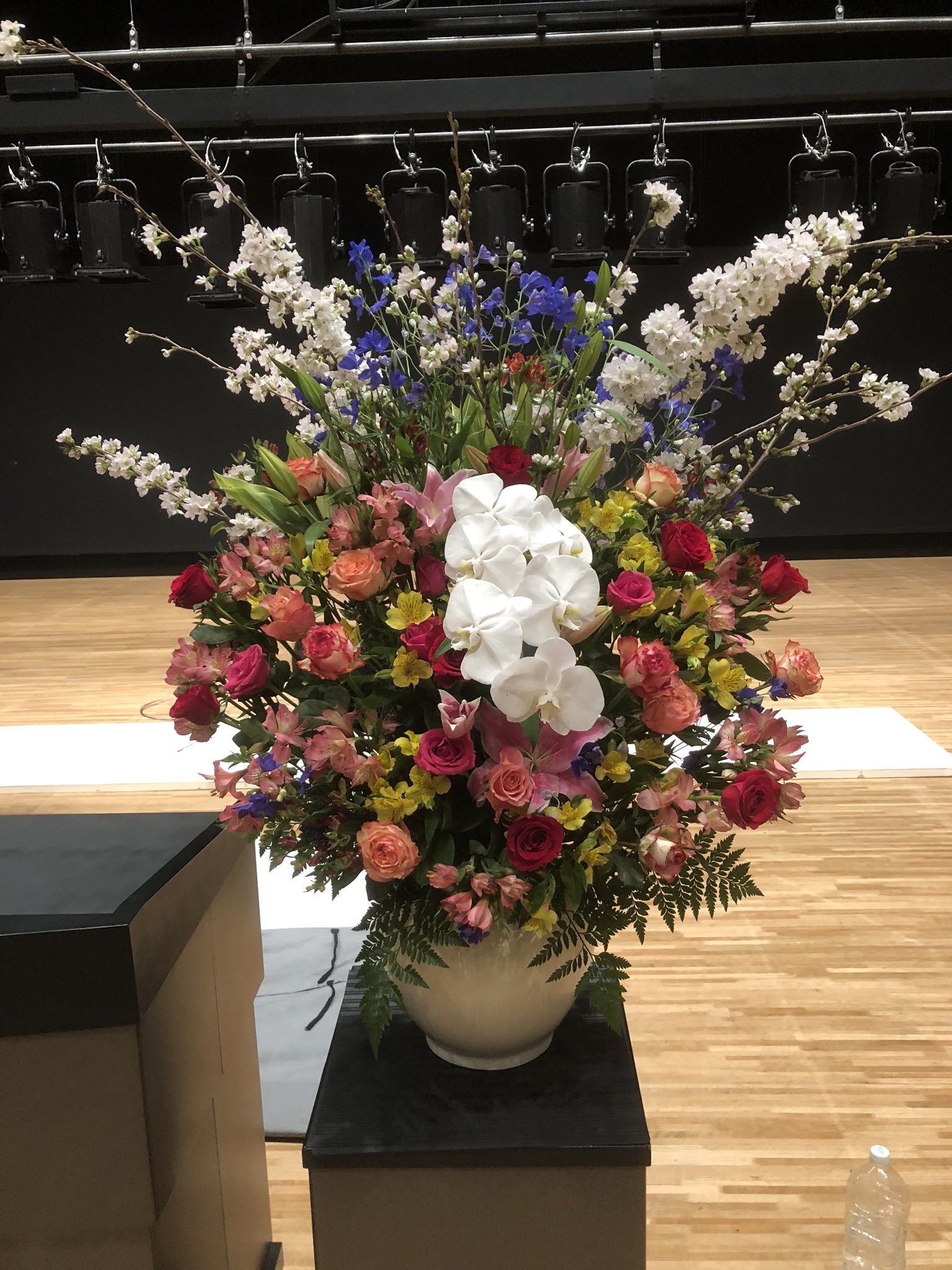 楽楽楽ホール Twitter Search Twitter