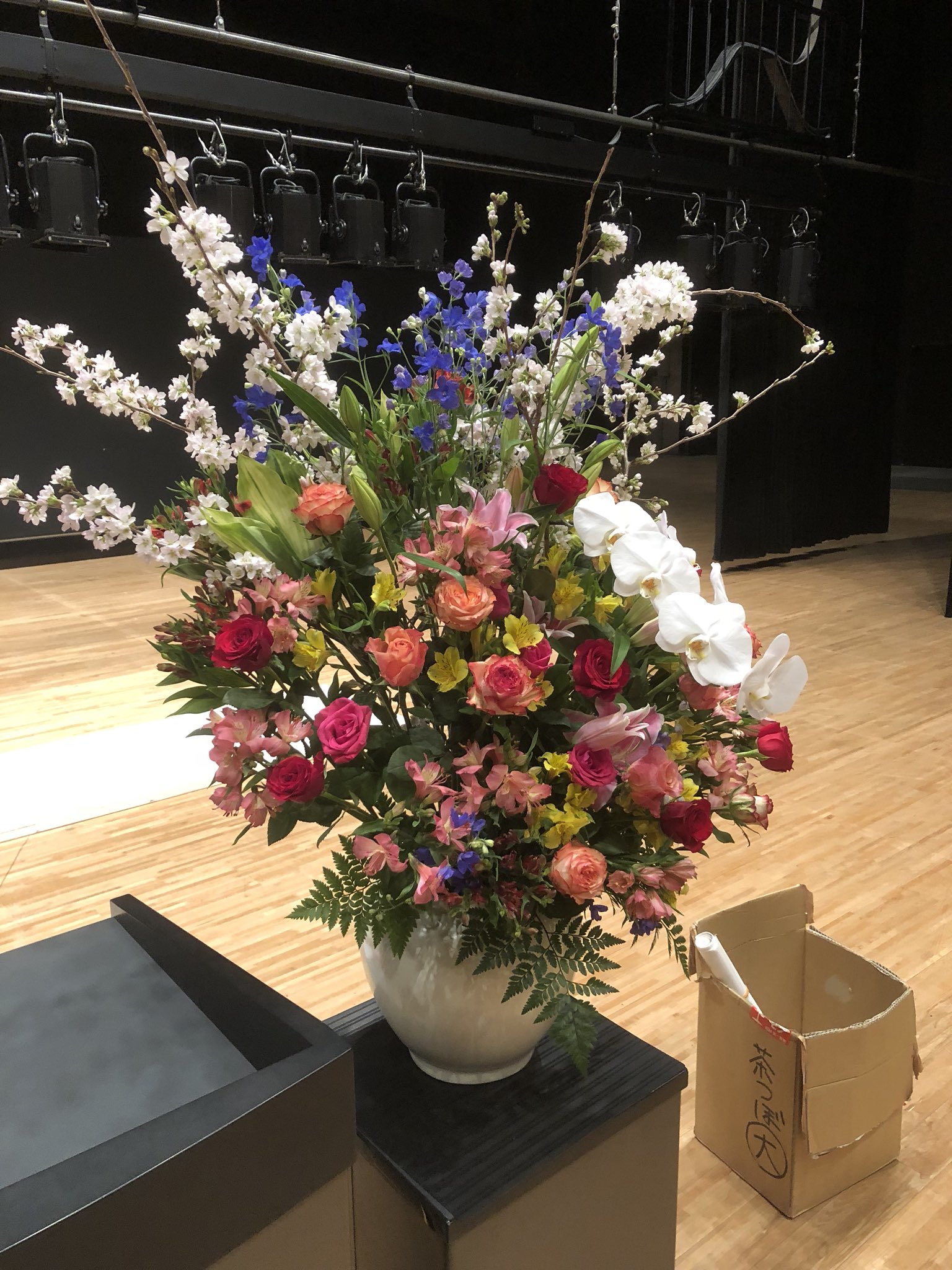 楽楽楽ホール Twitter Search Twitter