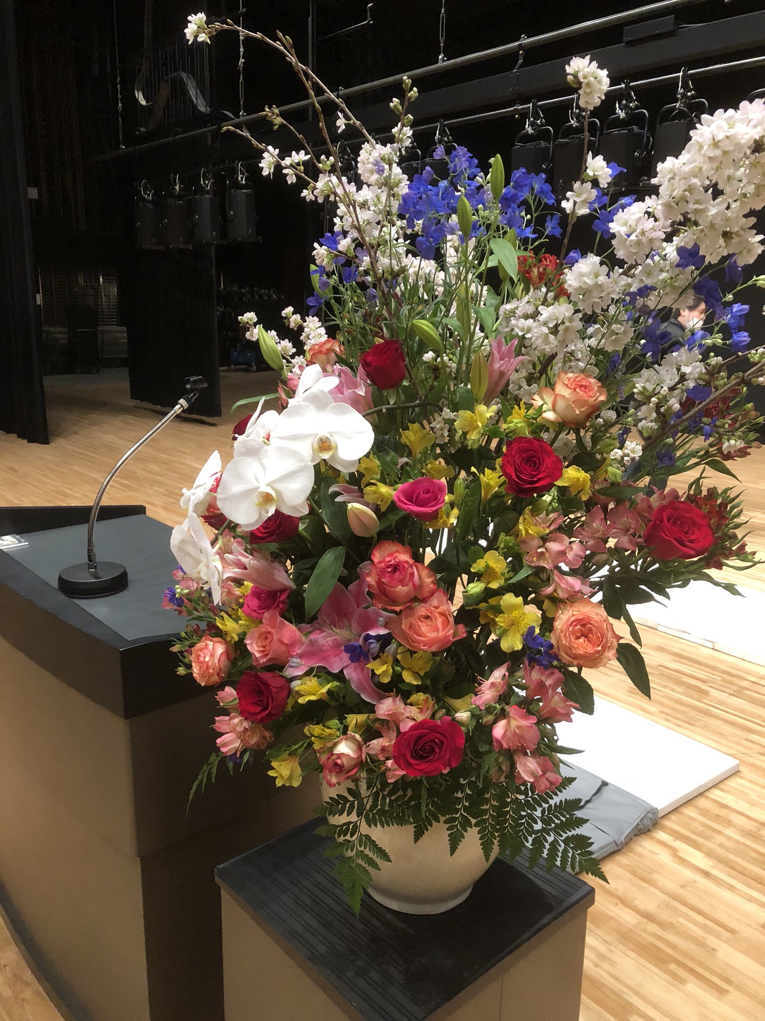 楽楽楽ホール Twitter Search Twitter