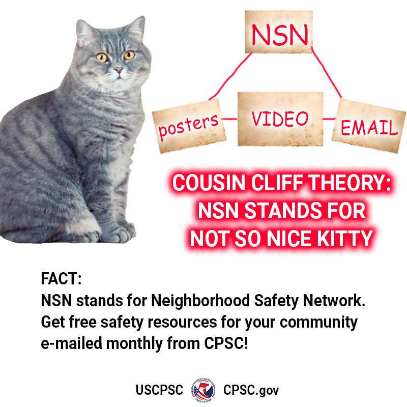 A cat named Cliff. The text reads: Cousin Cliff Theory - N.S.N. stands for Not So Nice Kitty. Fact: N.S.N. stands for Neighborhood Safety Network. Get free safety resources for your community emailed monthly from CPSC.