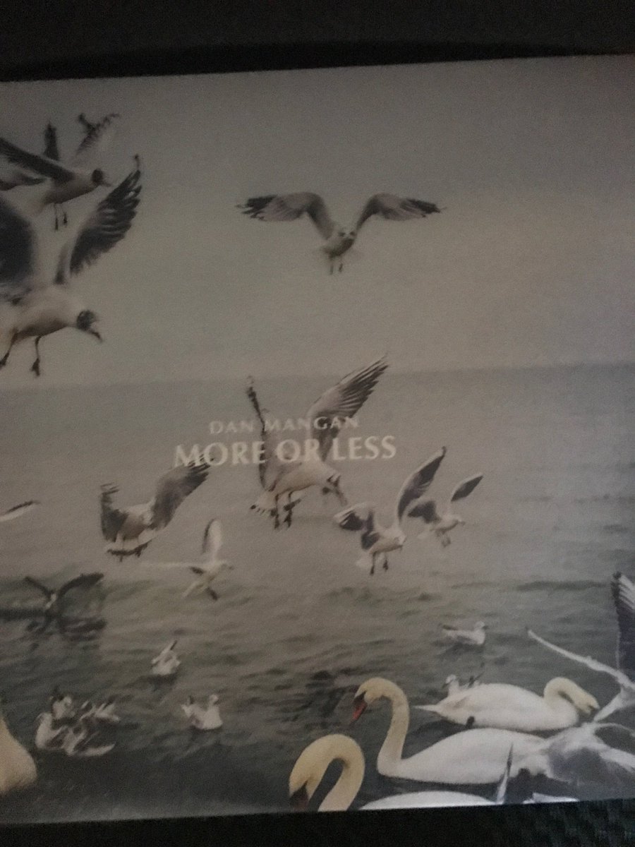 RaynaRambling's tweet photo. I’m not sure I ever want to listen to anything else @danmanganmusic #soundtrack2019 https://t.co/ivZ8HLoQnz