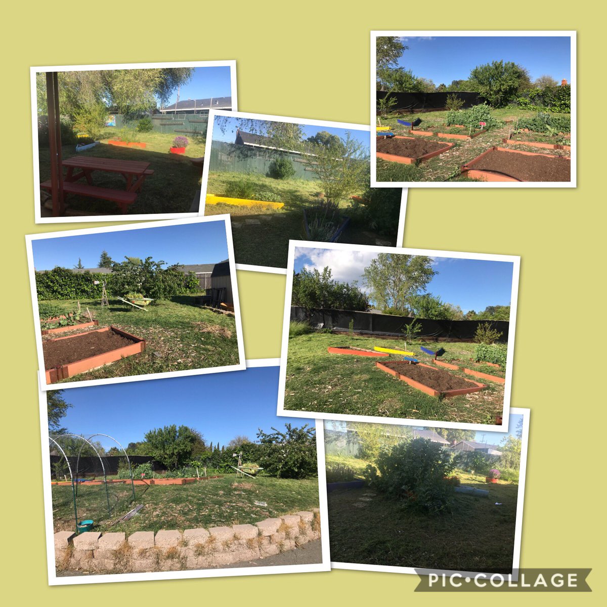 sun_asp's tweet photo. Thank you @BPGardenAcademy for helping us show more love to Our Garden. 💕💕💕#mdusdcares #SunTerraceSTEM https://t.co/jNvaI5dfEw
