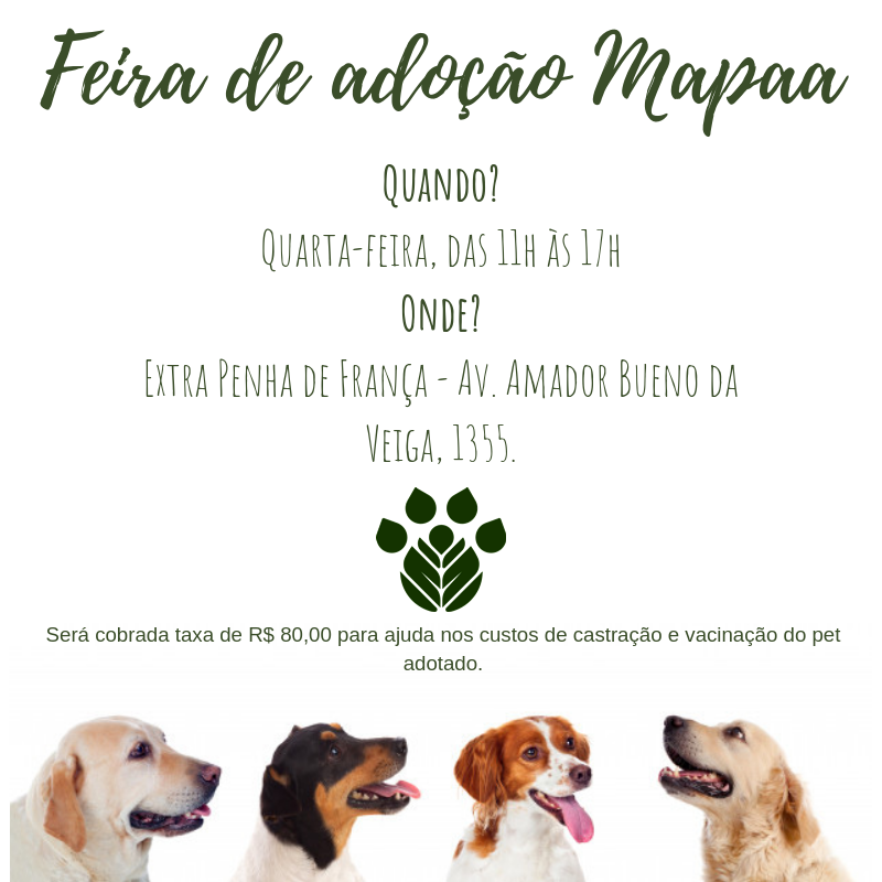 instituto_mapaa's tweet photo. Bora avisar a família e os amigos que AMANHÃ tem mais um evento de adoção MAPAA! Não deixe de compartilhar, participar e adotar, nossos animais esperam por você! #Mapaa #Adoção #Adote #NãoCompreAdote #EventodeAdoção #AdoçãoResponsável https://t.co/AWHruSpF6A