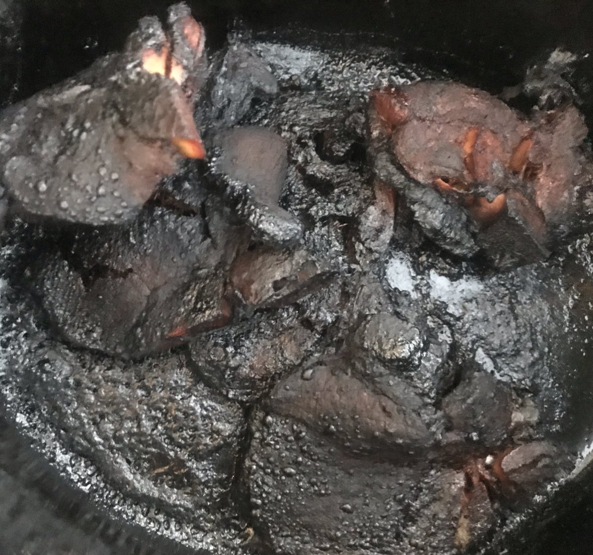 MaggieALewis's tweet photo. This is what welcomed me at home after a long day...I think I’m gonna need another crockpot! #dinnerfailure #itried #winSomeBurnSome 🤷🏾‍♀️ https://t.co/QsdHppu7GF