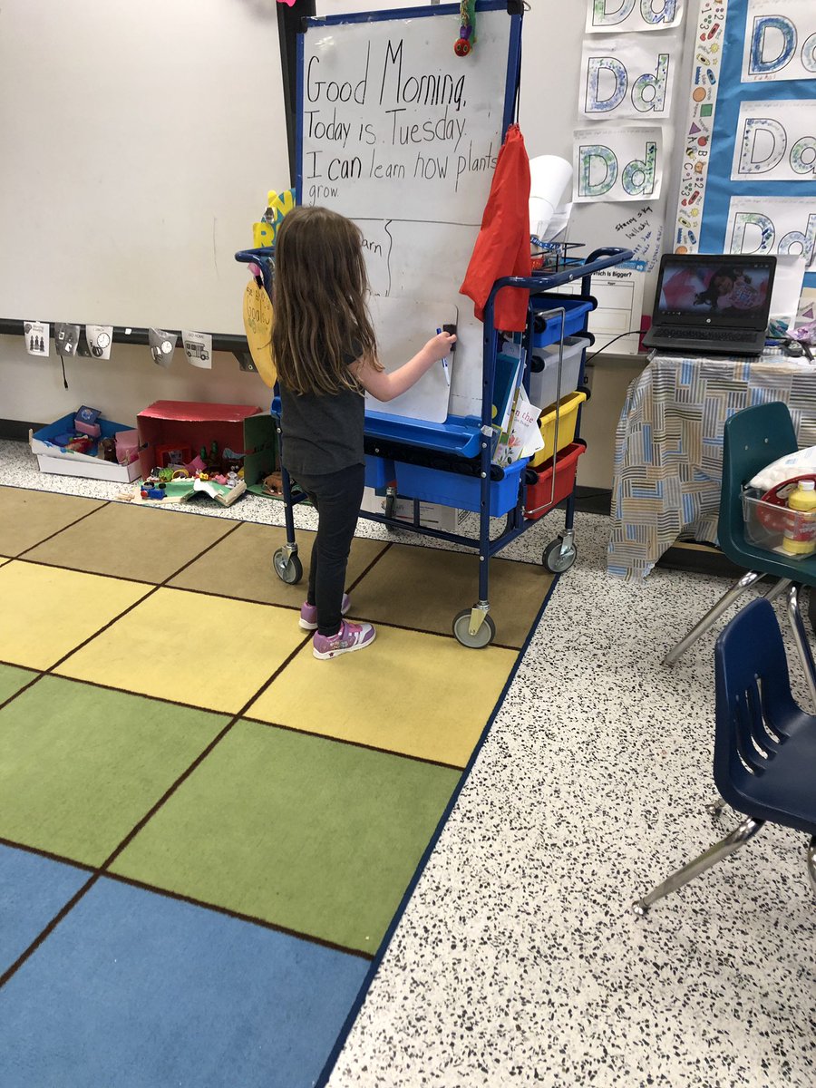 Liz_Cipolla's tweet photo. Beginning sounds, role playing as a teacher and discovering parts of flowers... just a glimpse into a pre k morning. #learningthroughplay #prekjoy #science @MikelleWilliam5 @krsimp22 @Educator_SRH @VBPreK  @vbschools https://t.co/qXy1GClwQj