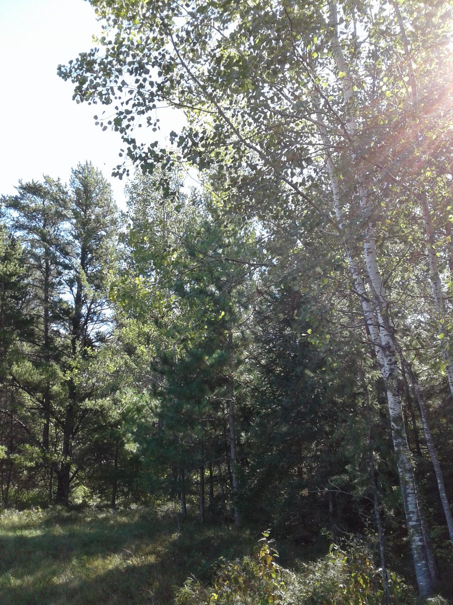 juliajeanette1's tweet photo. #nature https://t.co/mdJKkJeMOt