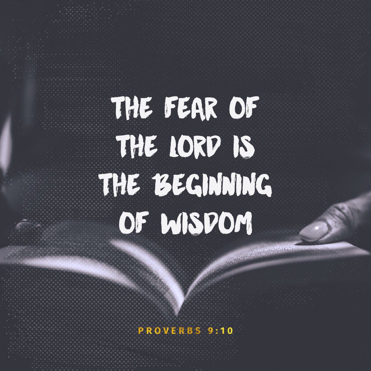 brandonbaca's tweet photo. Sometimes we just need to remember that wisdom starts with humility.  This humility brings us great clarity and awe of an incredible creator who will lead is step by step. https://t.co/k2i6vqYmn6