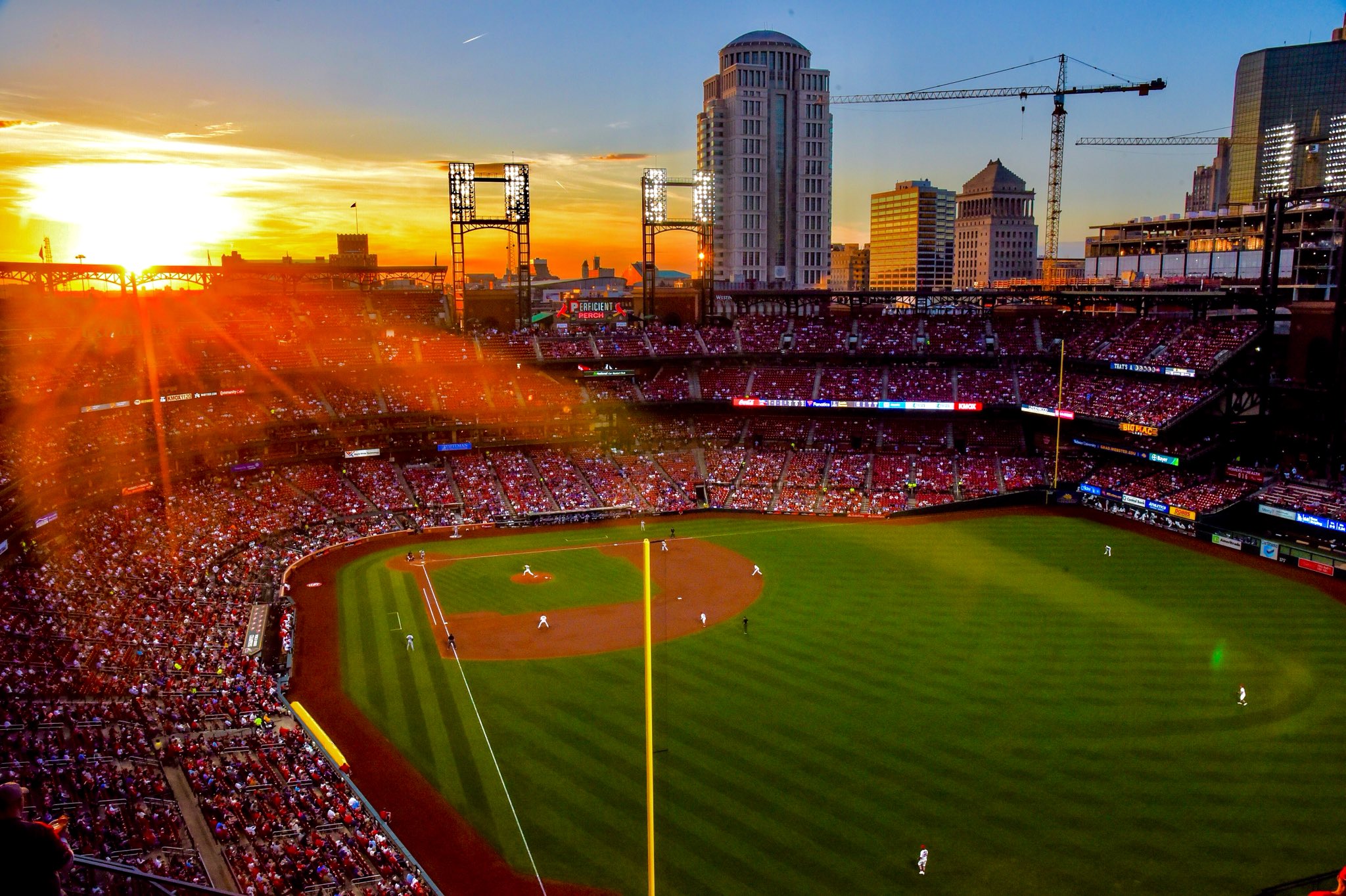 St. Louis Cardinals on X: "Baseball Heaven! 😍 https://t.co/48WOkQkNeZ" / X