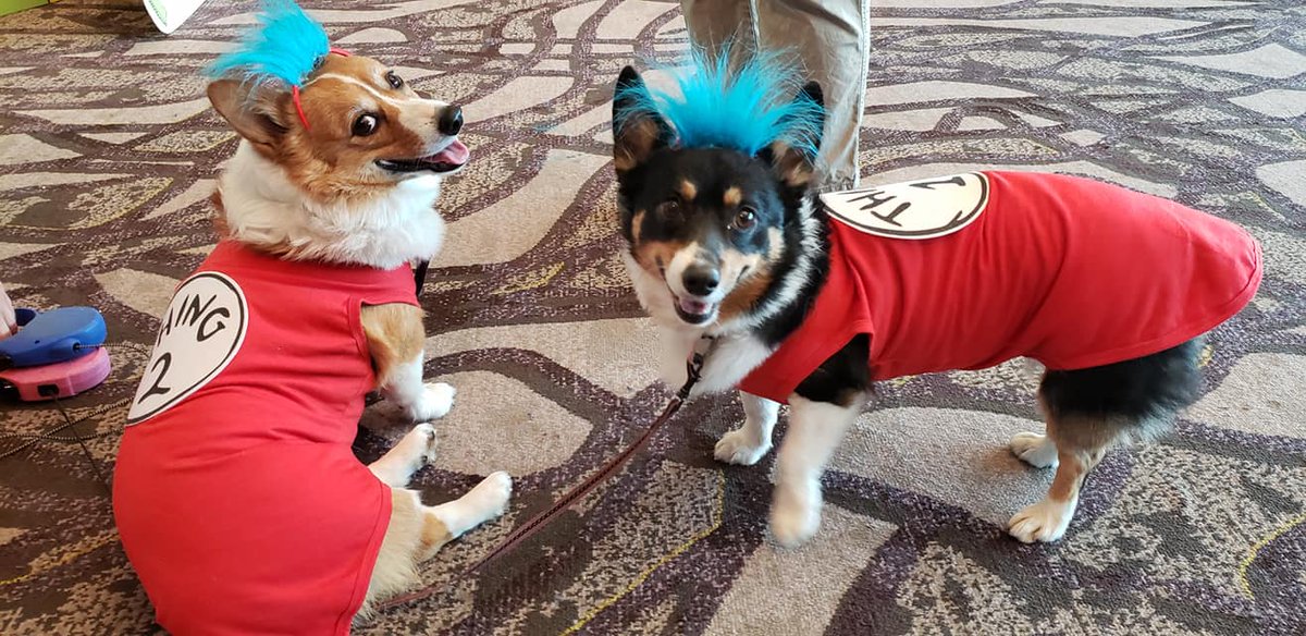 MEternallyLLC's tweet image. NAAP Conference Friends and Fun! - mailchi.mp/669131472ff8/b…