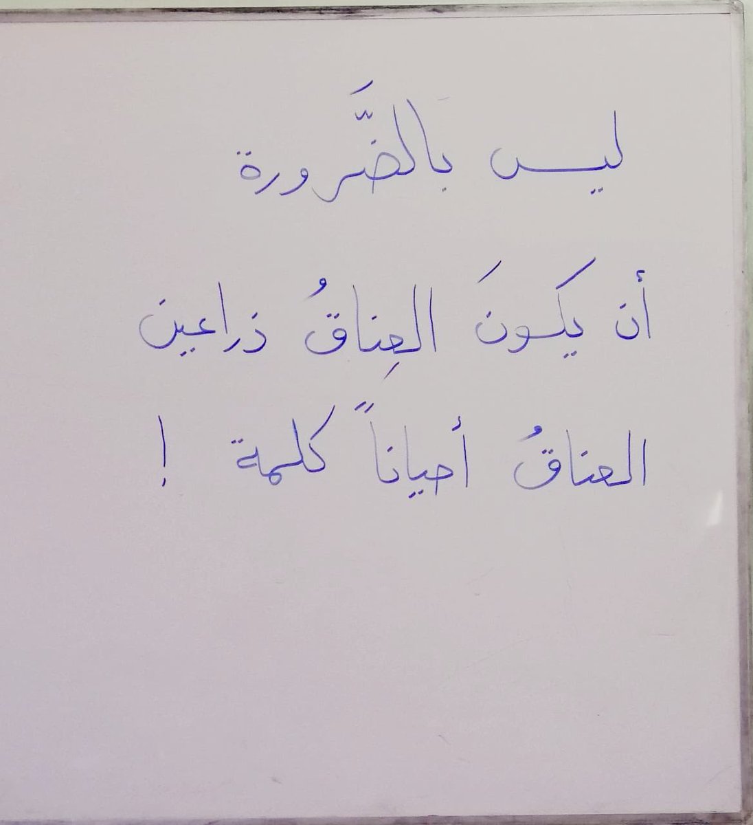 adhamsharkawi's tweet photo. مقولة اليوم : https://t.co/t1fsB9h9SI