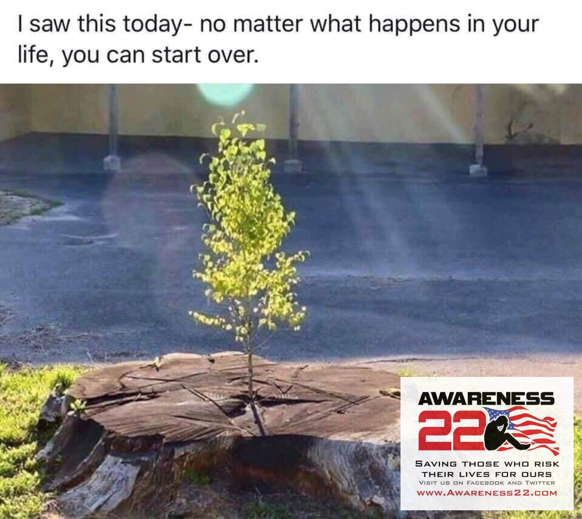 Awareness 22 tweet media