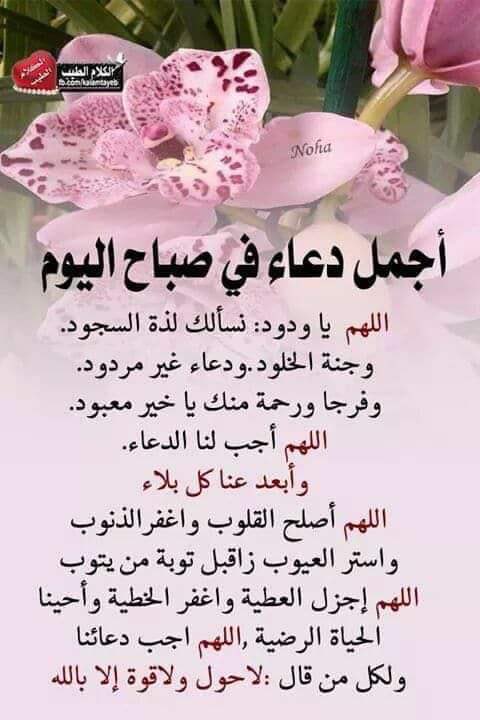 شجون حالمة (@awesom2050) on Twitter photo 