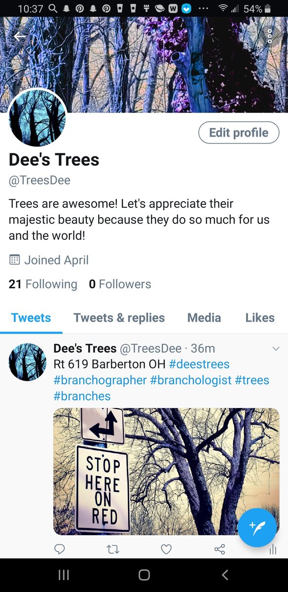 Deekadent's tweet photo. Follow @TreesDee https://t.co/fYco6aYAzv