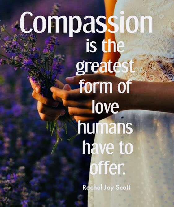 MuskanVOfficial's tweet photo. Gratitude Love and Compassion each day and every day 365days💜 https://t.co/eEAmAABemb