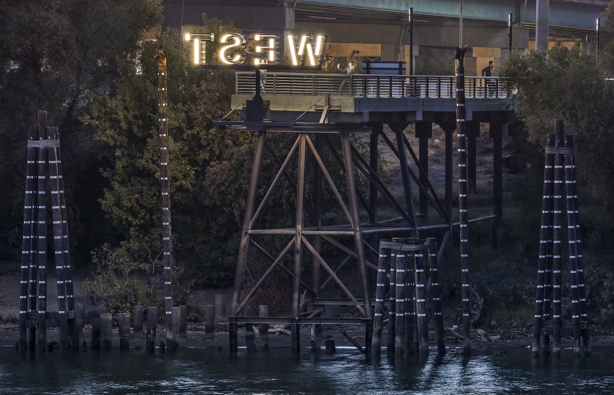 Katy Jacobson tweet media