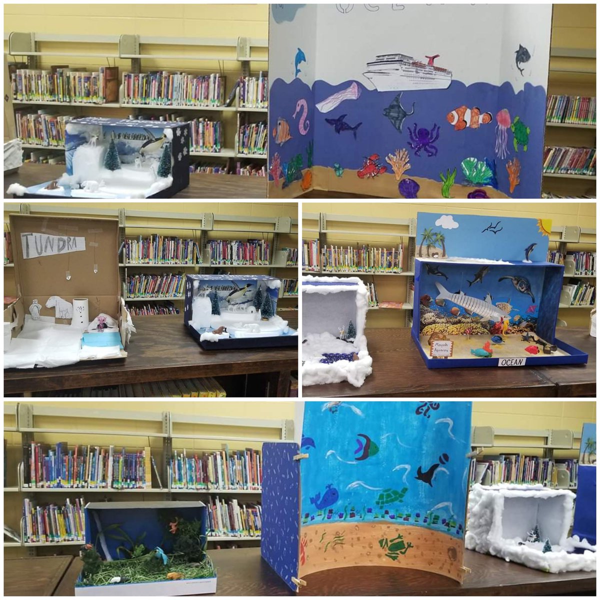 Mrs. Dilbeck's class is  studying ecosystems and biomes for Science.  We love our creative 2nd graders.