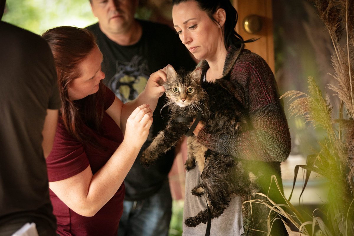 noranartta's tweet photo. ก่อนน้องจะเป็นน้องแบบในหนัง #PetSematary เวอร์ชันใหม่ โง้ยยย น่าร้ากกก https://t.co/alk0v9GgDF
