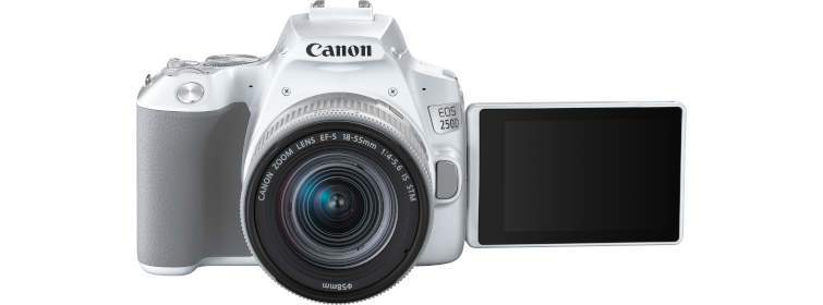 Fotoguida's tweet photo. Canon EOS 250D, arriva l'aggiornamento di una delle DSLR entry-level più apprezzate. Compatta, leggera e con tante funzioni per i meno esperti
https://t.co/PjZNhPMeuc
#dslr @CanonItaliaSpA https://t.co/YKZWgjsfaP