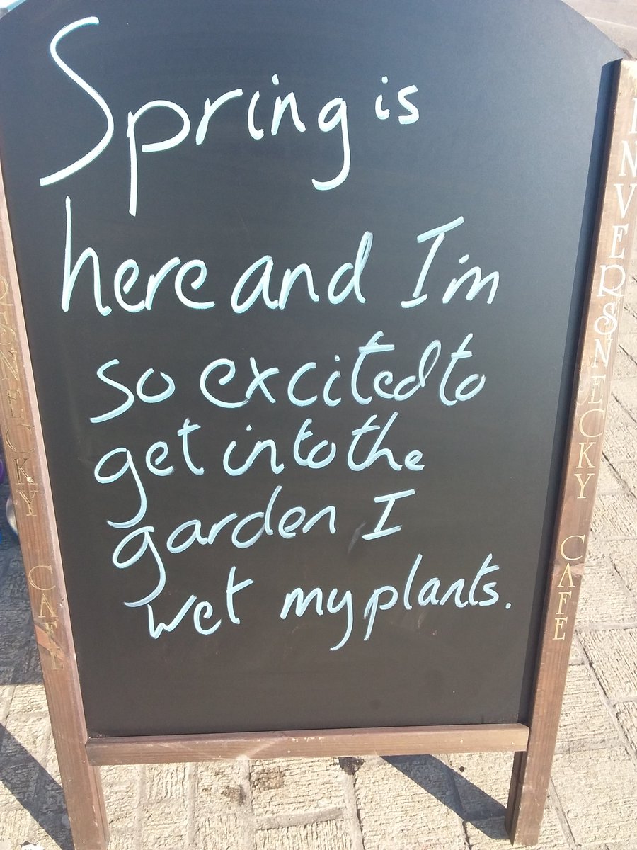 Mr_Inversnecky's tweet photo. Fnur, fnur, fnur... #Inversnecky #cafeboard #aberdeen #StraightInnuendo https://t.co/CZT3R3GujF