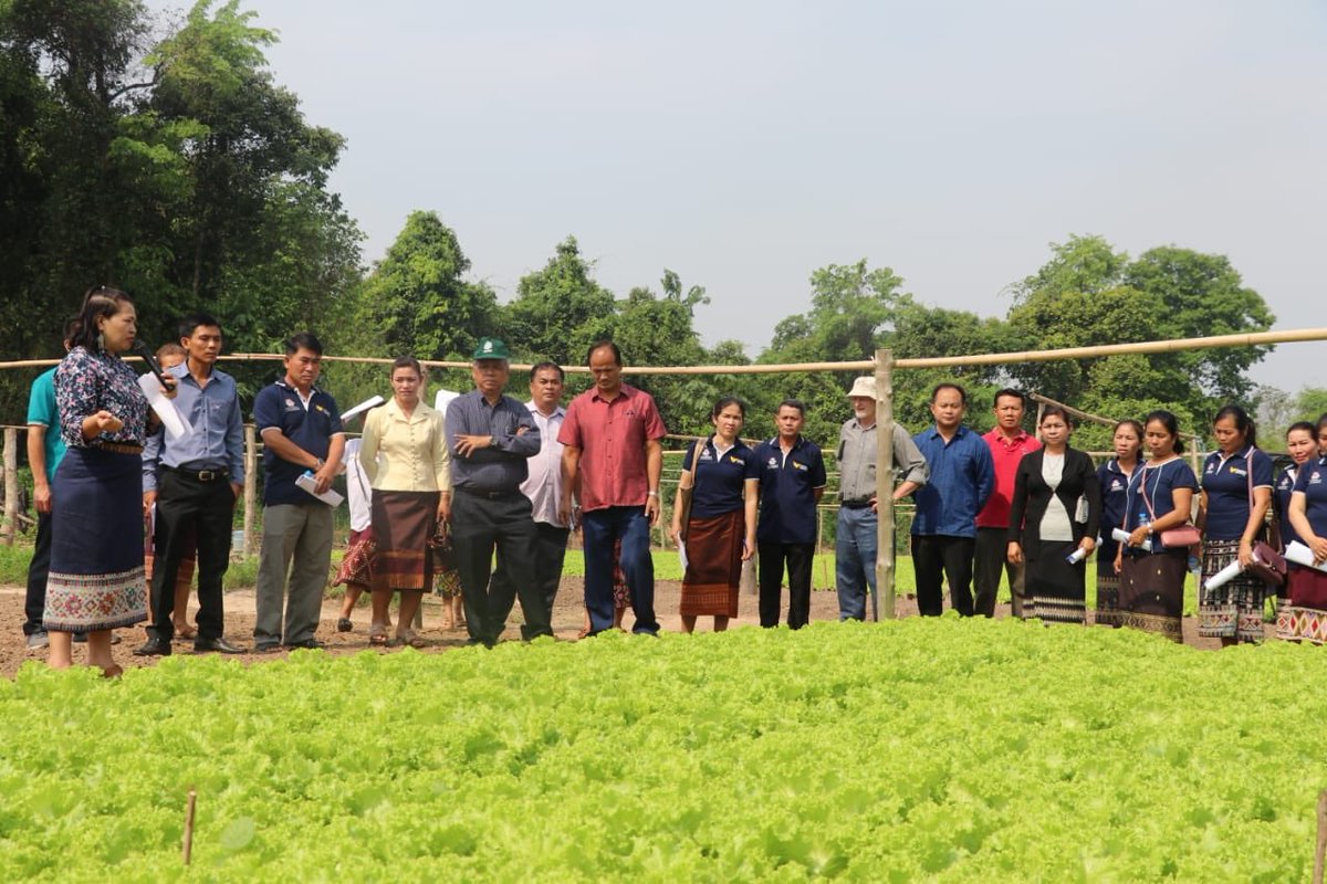 Wonderful to see farmers discussing the effect of lime and optimised NPK application on yield of leafy vegetables in ACIAR funded project #USQ #CAE #ACIAR