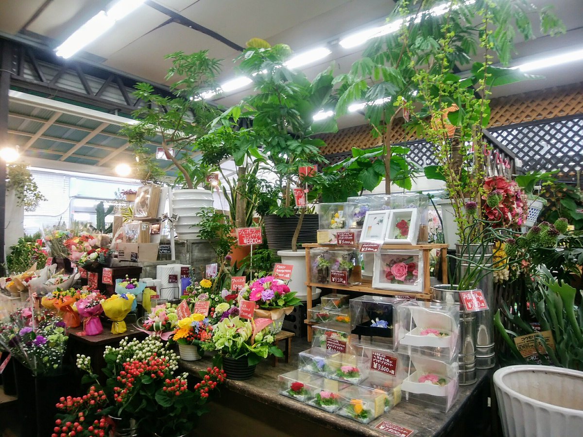 中央フラワー 国立南口ガーデン店 Flower Kunitac1 Twitter 中央フラワー 国立南口ガーデン店 Flower Kunitac1 Twitter