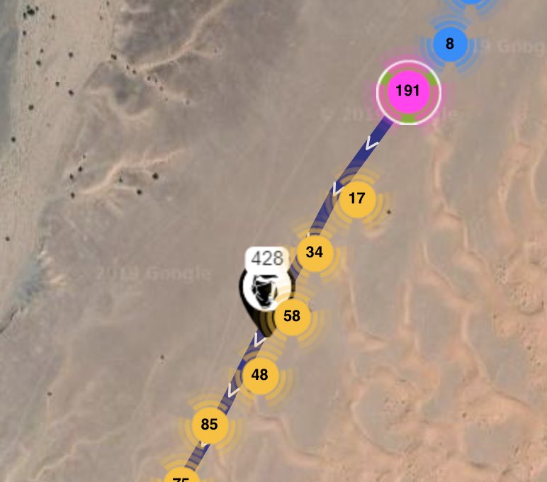 grahamdunn129's tweet photo. Son James off and running on day 4 of MdS 2019. 76.3 km and 31 hours to complete it in. Going well so far and I have no doubt he will grind the sand to submission! #mds2019 #dontknowwherehegetsitfrom #soproud @Susie__Chan https://t.co/T1wyHC05Ql