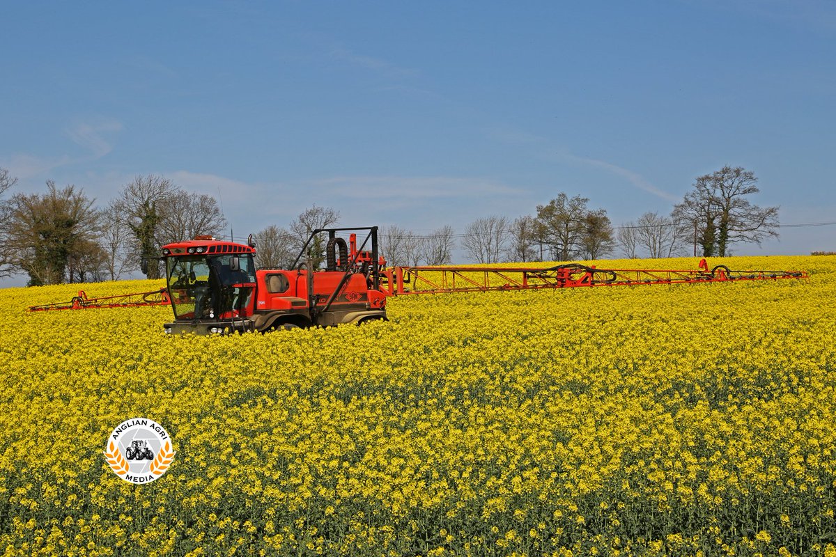 anglianagmedia's tweet photo. On this day 5 years ago... Fungicide going onto #oilseedrape with a @SandsSprayers Vision 4.0 24m #sprayer. See the full story in the #FourSeasonsofFarming DVDs which can be bought here: https://t.co/JXySS2zSkp
#sands #farmingdvd #anglianagrimedia #britishfarming #clubhecatre https://t.co/0XW8NcRKsl