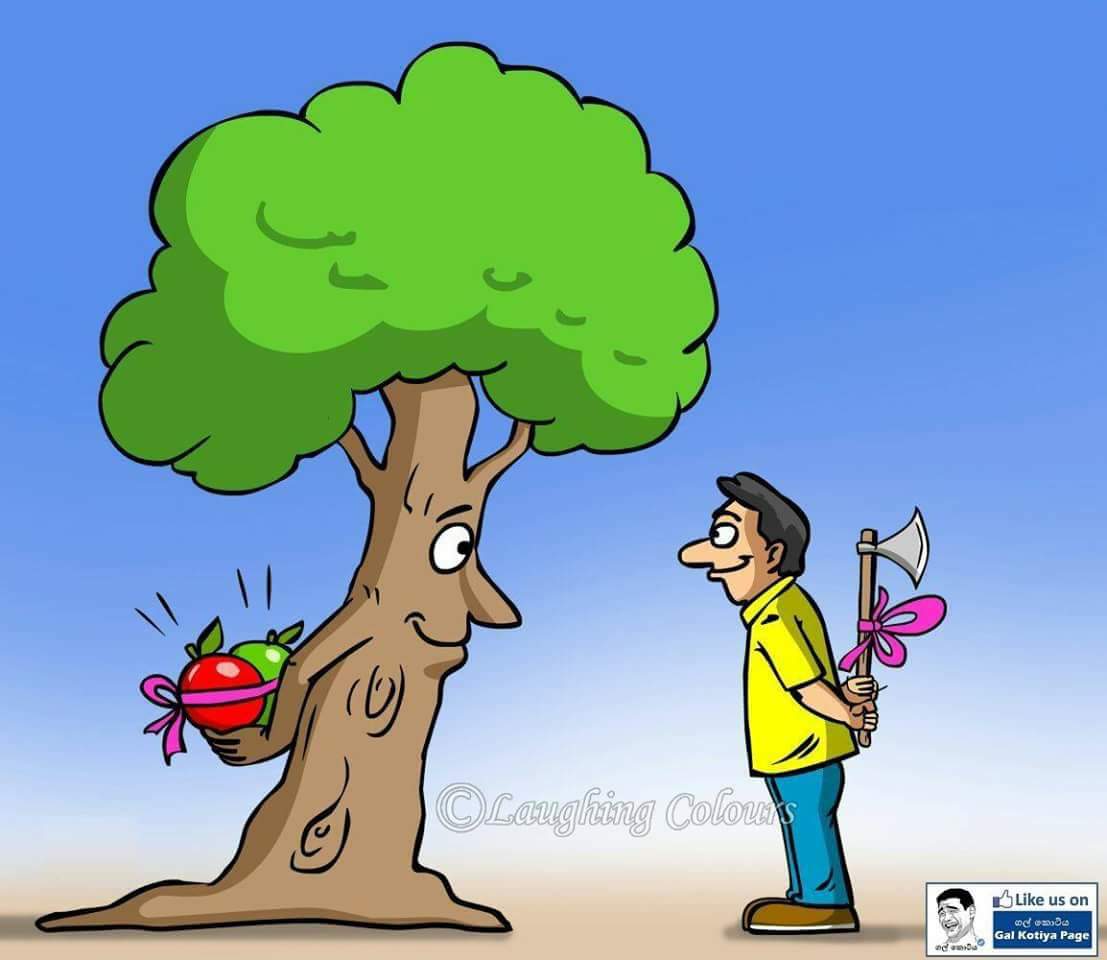 D3xJQu9X4AAbtD6.jpg:large