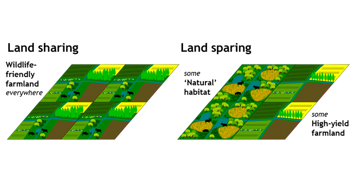 Agriculture often causes wildlife declines, but is crucial for feeding the (growing) human population. Should we share food production & nature conservation on wildlife-friendly farmland, or spare bigger units of natural/semi-natural land by farming at higher yields? 2/