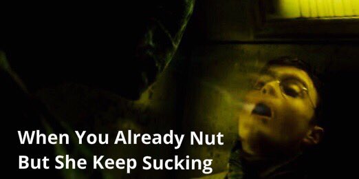 fox_clio's tweet photo. So I was watching Harry Potter again and I think I took it a little too far. https://t.co/1mbCbEfXyB