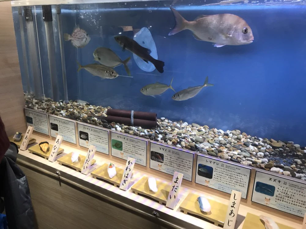 名古屋港水族館が面白いwwサイコパスすれすれ！？一風変わった企画を開催中！