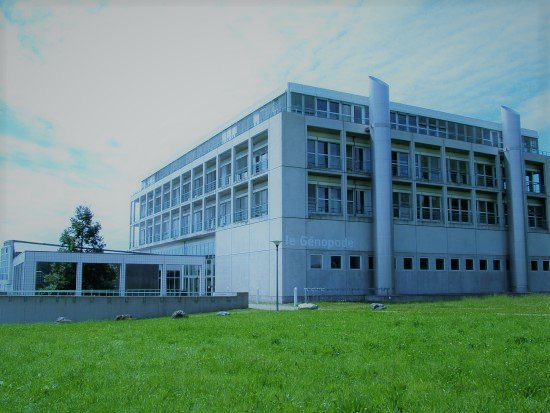 Today both Robbie and the Genopode are waiting for you at 18:30 for our weekly drop in session!
Don't miss it!