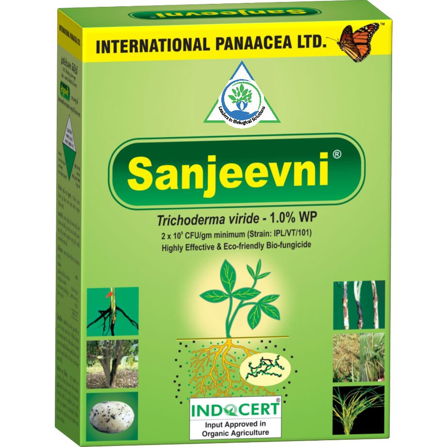 IPLBiologicals's tweet image. Our team member visited a #farmer’s #BrinjalCrop in Bihar. Farmer pleased after using our #products Sanjeevni + PhasalRakshak + Nematofree.
#Organicfarming #happyfarmers #Vegetables  #crops #agriculture #IPLBiologicals
