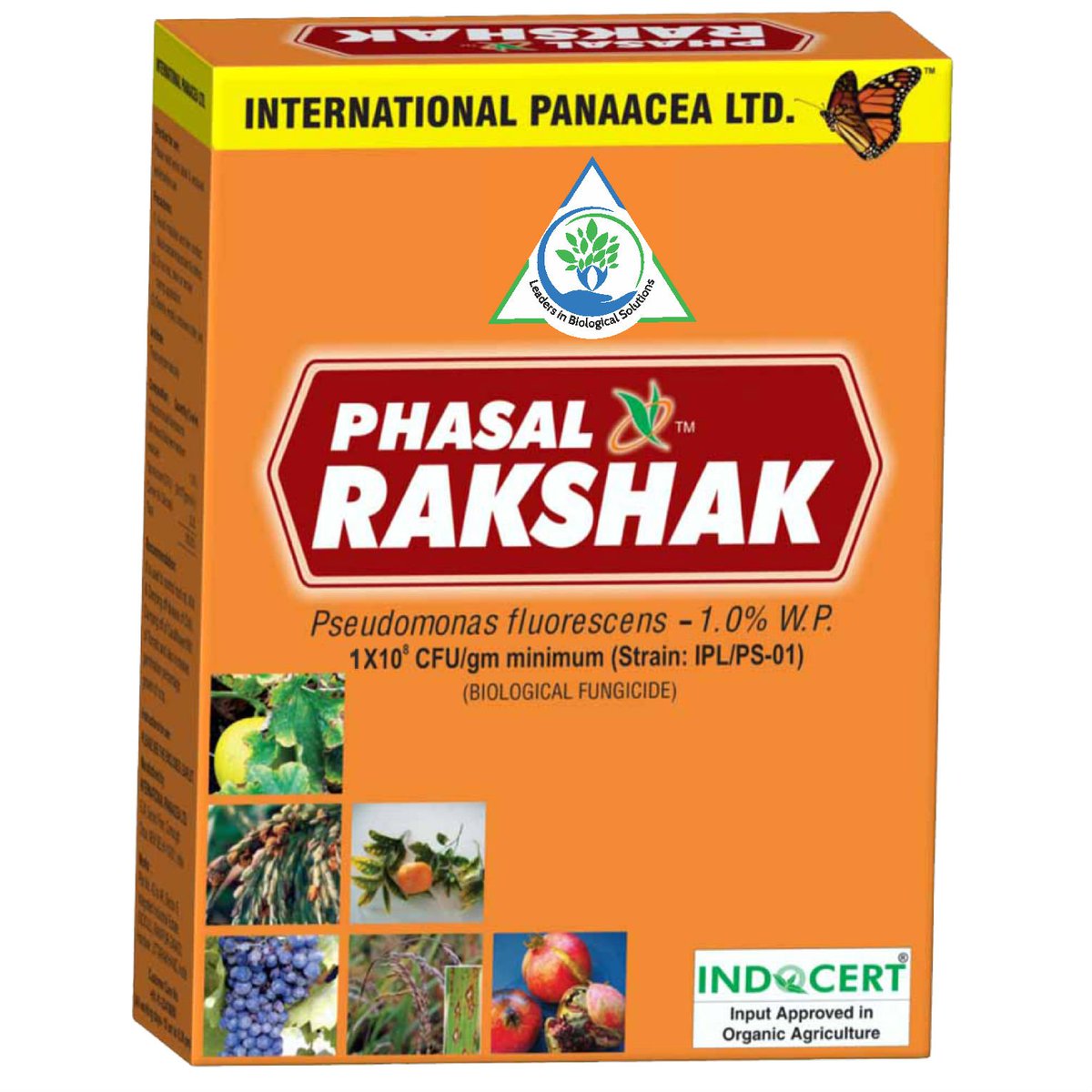 IPLBiologicals's tweet image. Our team member visited a #farmer’s #BrinjalCrop in Bihar. Farmer pleased after using our #products Sanjeevni + PhasalRakshak + Nematofree.
#Organicfarming #happyfarmers #Vegetables  #crops #agriculture #IPLBiologicals