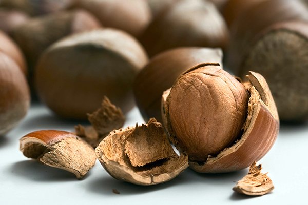 ExporterAgro's tweet photo. Turkey’s hazelnut exports reached $ 435M in Q1
https://t.co/IeIpSzb5ZI
. . .
@DkibTr @dkibahmet #dkib #fındık #hazelnut #dryfruit #agribusiness #businessnews #export #ihracat #exports #Turkey #Trabzon https://t.co/pP186YiI0c