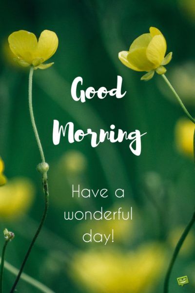 alloveryouneed's tweet photo. Good Morning💚💚 https://t.co/KcrZJBGwmE