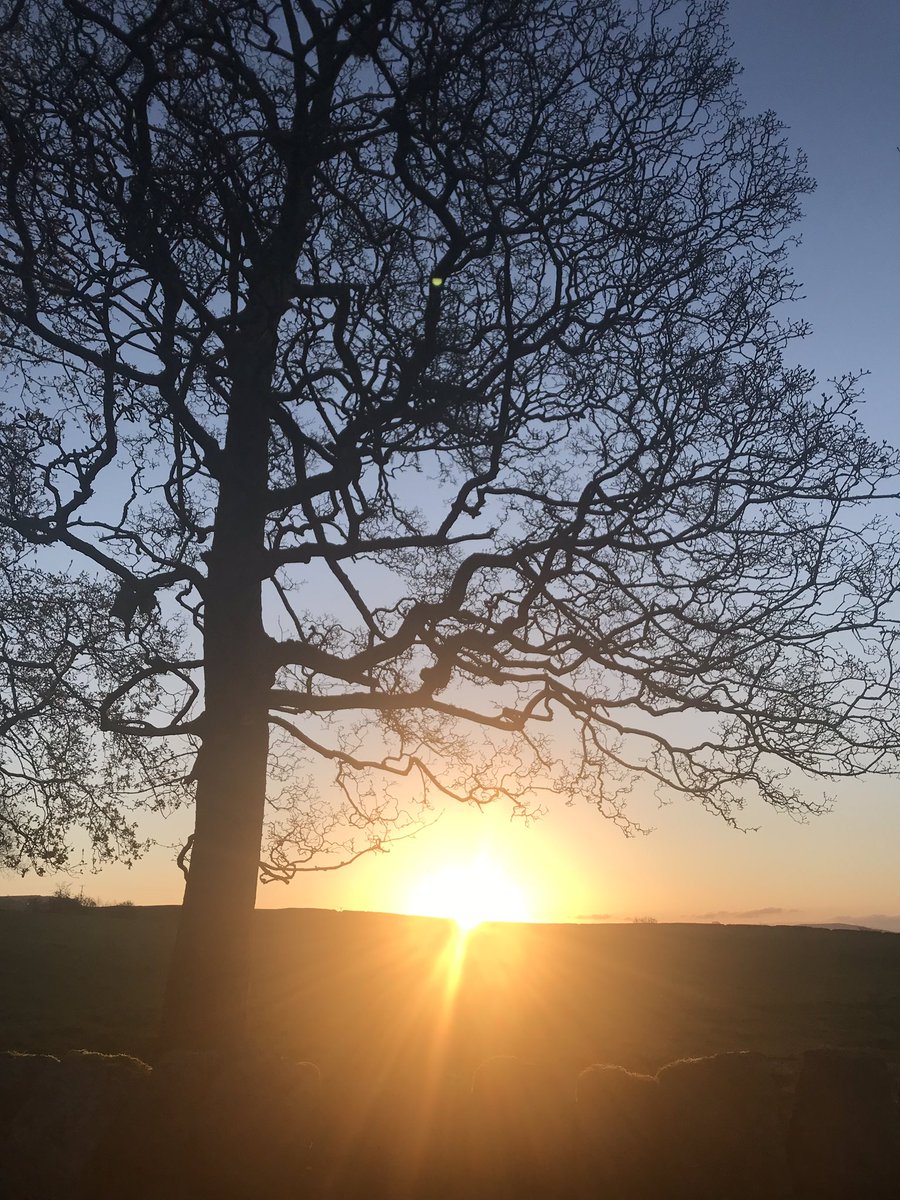 gemcrangle's tweet photo. Well if this won’t help kickstart my day, I don’t know what will. Sunrise run followed by the best coffee in Skipton. #morningrun #yorkshiredales #beanloved #skipton #coffee #stunningsunrise https://t.co/xmp8BkcAHe