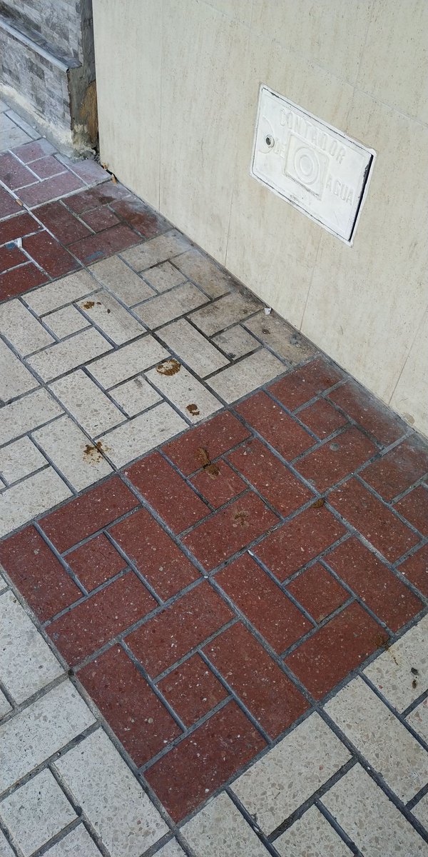 huesa84's tweet photo. @malaga como puedo denunciar al dueñ@ de lo que a hecho su mascota en la puerta de mi negocio? https://t.co/nMHlWQ53lh
