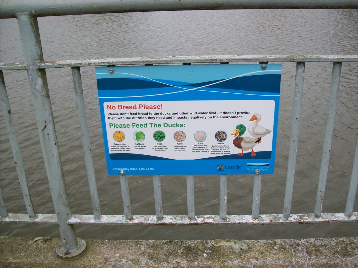 We're quackers about this Yorkshire Water sign designed, manufactured and fitted by us featuring the standard YW branding. 🦆

#signage #dontfeedducks #nature #yorkshirewater #corporate #environment